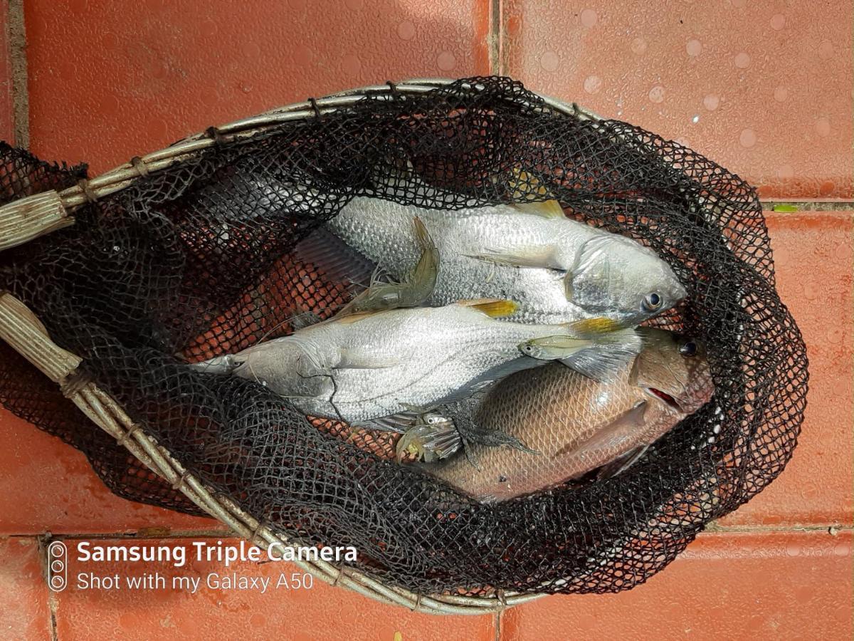 Cheenavala Fishing Homestay Kochi Exterior photo