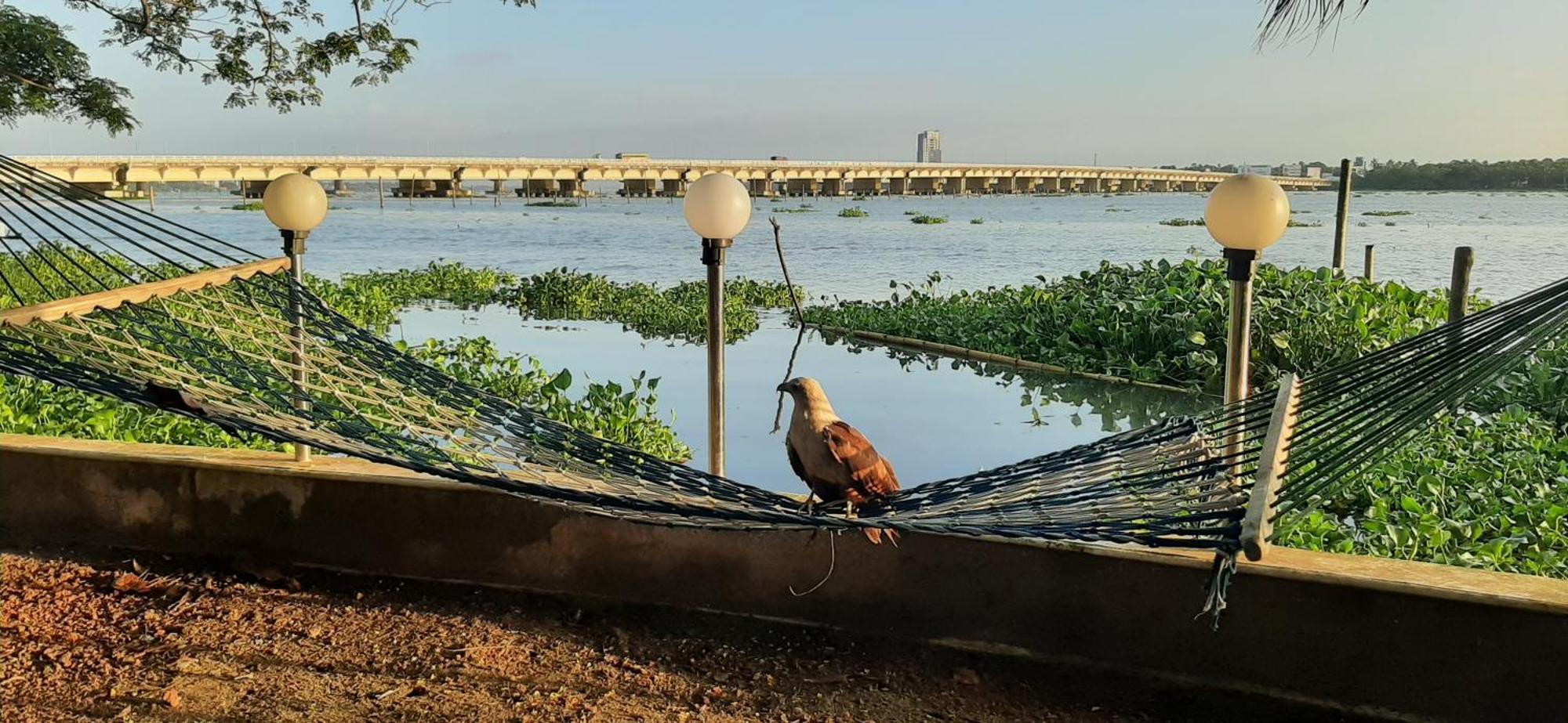 Cheenavala Fishing Homestay Kochi Exterior photo
